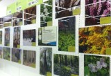 В Калуге открылась необычная экологическая выставка 